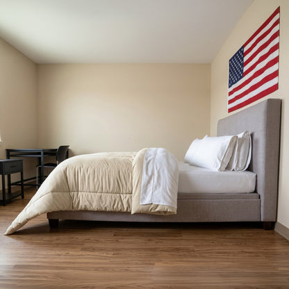 Martex® Basics Colors Comforters