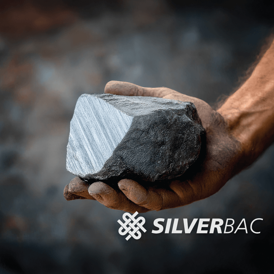 Hand holding a piece of coal with Silverbac logo
